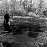 Somewhere lies the big trout