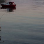 Catching breakfast