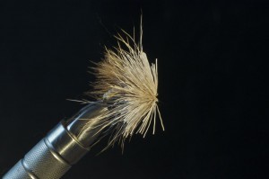 ... More deer hair, continue until only the eye of the hook can be seen